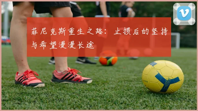 菲尼克斯重生之路：止损后的坚持与希望漫漫长途