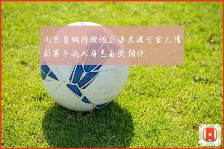 北京首钢新援适应速度提升曾凡博新赛季战术角色备受期待